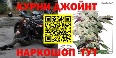 СК Будённовск