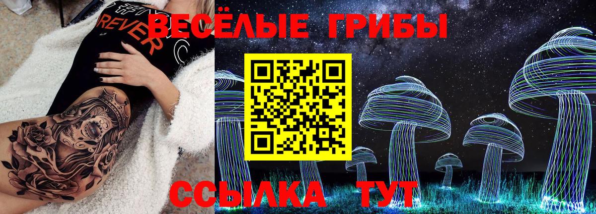 Галлюциногенные грибы MAGIC MUSHROOMS  Галлюциногенные грибы GOLDEN TEACHER  Вход с VPN  Семилуки 